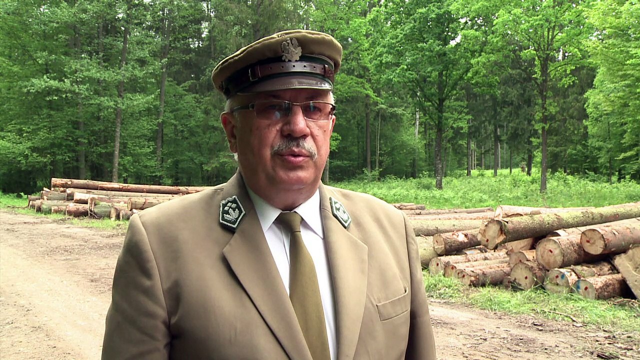 Pologne: avis de tempête sur la dernière forêt primaire d'Europe