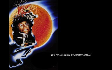 Using an Argot as a Persuasive Tool in Writing