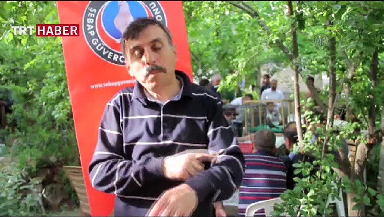 Manken Kuşlar