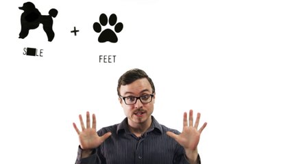 5 Awesome Dog Facts -- Thought Glass #4