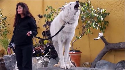 33 Moments That ll Restore Your Faith In Humanity