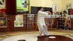 Tai Chi Chen Form YiLu 6-10 ZenStudio Pavel Frolov