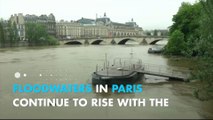 Louvre scrambles to protect art as flood waters rise in Paris