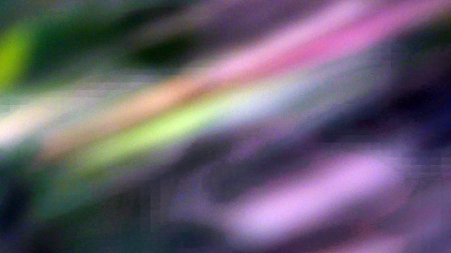 Procés du 3/6/2016: Le délibéré de la demande de fixation d'indemnisation de l'expropriation a été fixée au 9 août