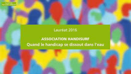Association nationale Handi-surf (Bayonne)