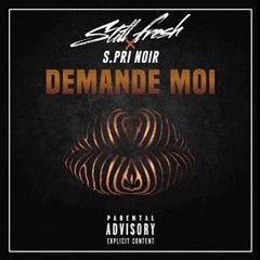 Still Fresh feat S.Pri Noir – Demande moi