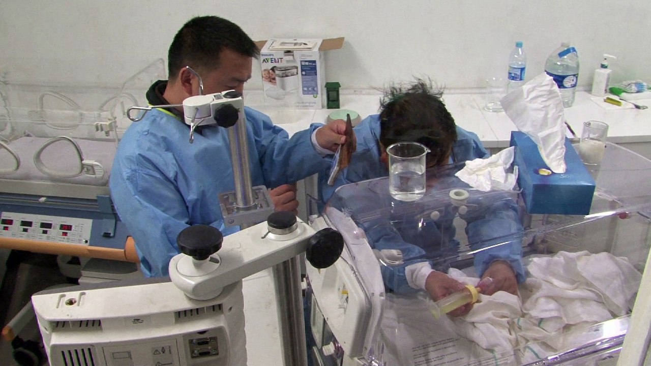 Le bébé panda de Pairi Daiza déguste son premier biberon