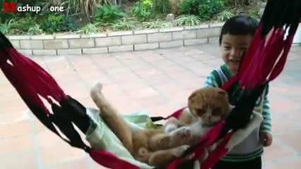 Funny Cats Acting Like Humans