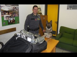 Torino - Cocaina nelle scarpe, arrestato narcotrafficante guatelmateco (03.06.16)