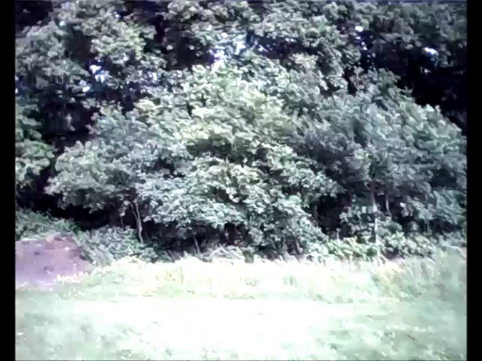 Drone JD509W