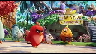 Angry birds trailer