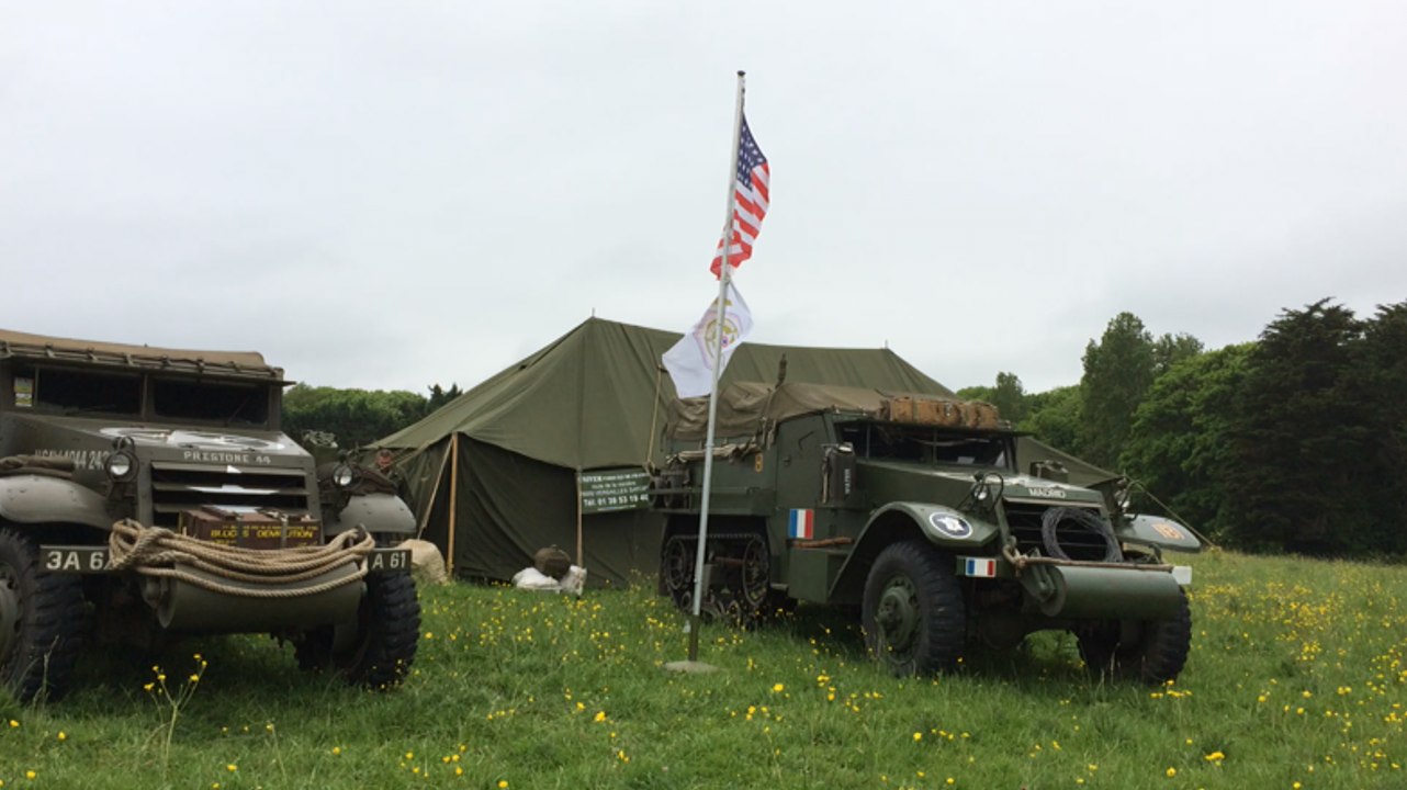 Dog green camp