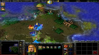Warcraft III:Reign of Chaos: Ravages of the Plague