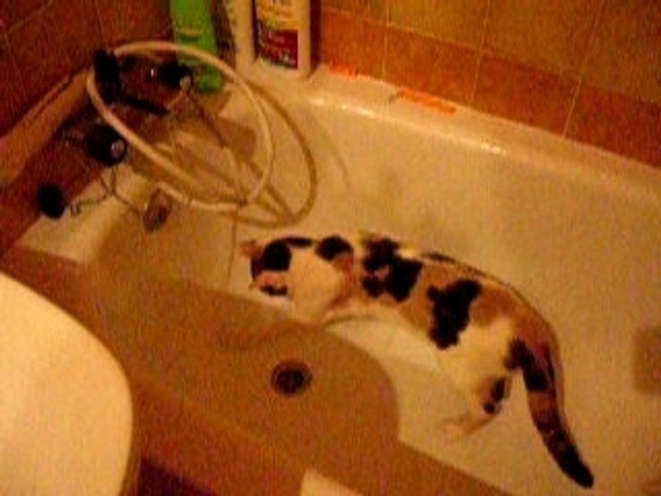 Eka et l'eau