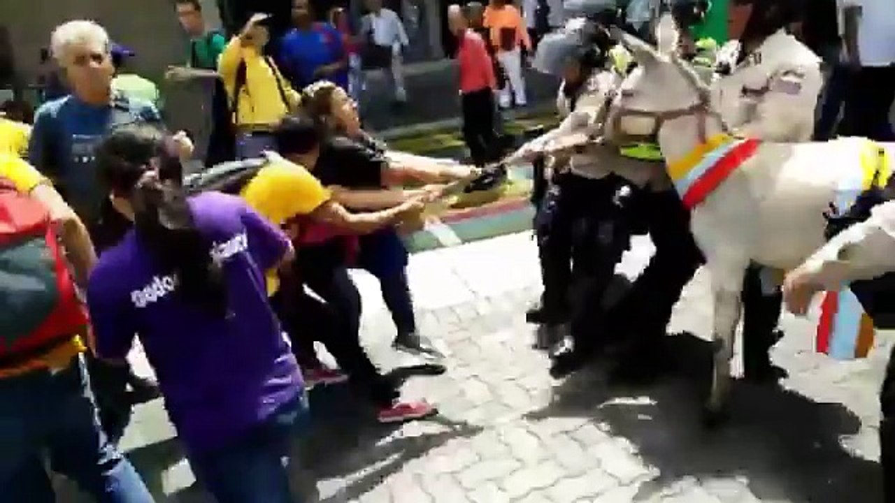 Mira cómo efectivos de la PNB se llevaron a un burro en Sabana Grande