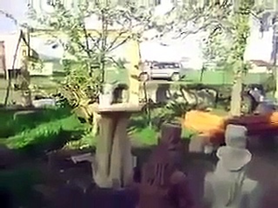 This is what happens when an engineer owns a dog