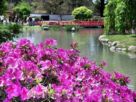 Taoheedi Naat Nasheed Muhammad Muhammad Fahad Shah