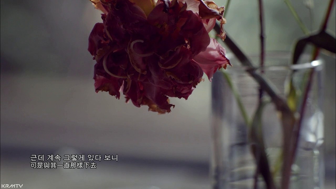 NELL_The Day Before_韓中字MV