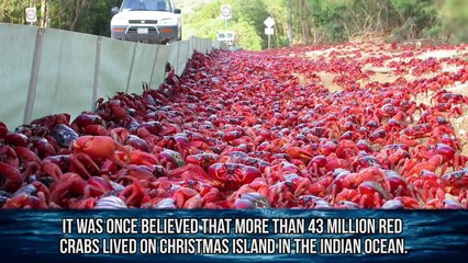 10 Strangest Ocean Phenomena You Won t Believe!