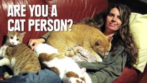 12 Reasons Why Cat People Are Crazy Awesome