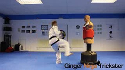 Võ Thuật  TAEKWONDO : Cách Tập Bổ Trợ Nhảy Cao