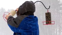 How to feed your birds in a snow storm in under 10 seconds