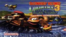50 - Lose Life (Waterfall) - Donkey Kong Country 3: Dixie Kong's Double Trouble - OST - SNES