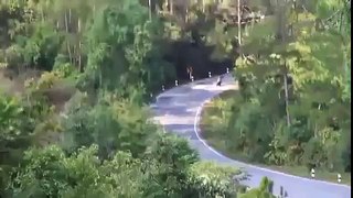 Thailand Motorcycle Accident flv