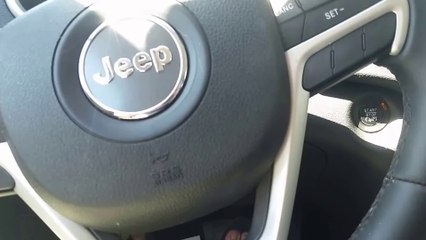 French Bulldogs Excited About the Dog Park!