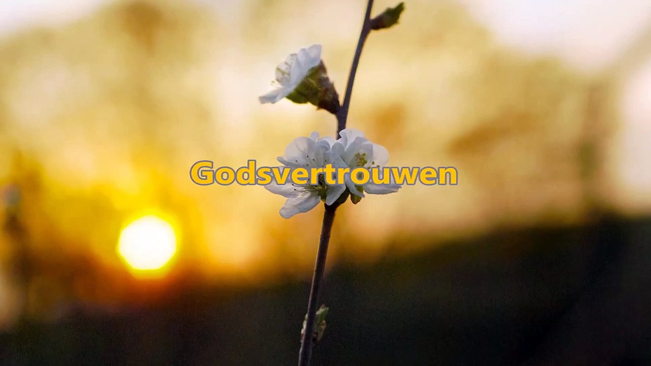 Godsvertrouwen (orgel)
