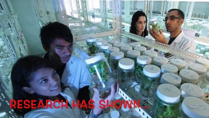 How To Use Green Tea For Weight Loss