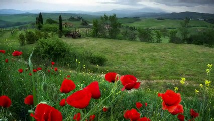 Once Upon A Time In The West  TOSKANA1