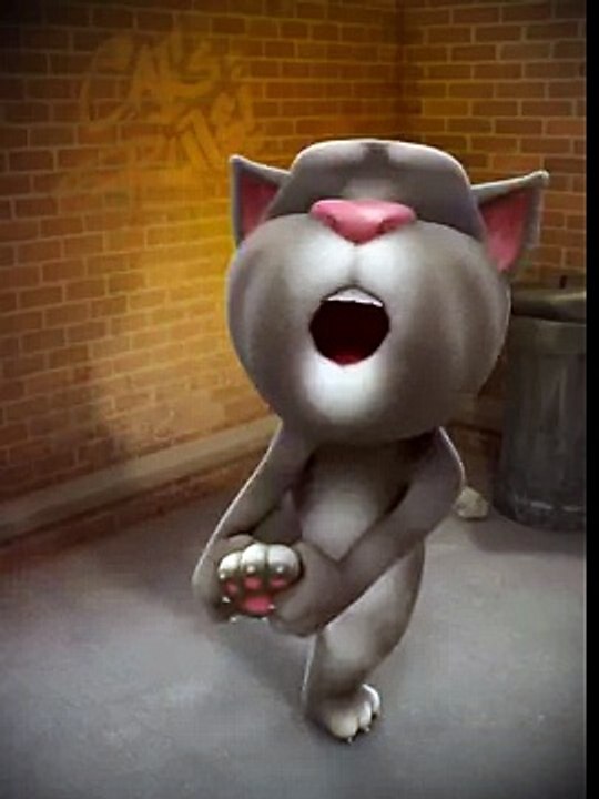 El,gatito tom