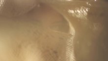 Kiiara - Gold