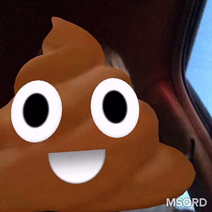 The poop song