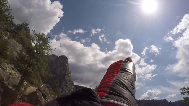 Peregrine Falcon Chases Human Wingsuit Pilot