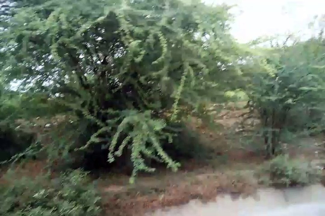 Tarbela Neher