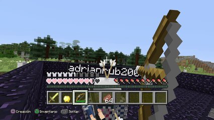 Minecraft: PlayStation®4 Edition historia