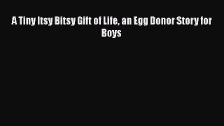 Read A Tiny Itsy Bitsy Gift of Life an Egg Donor Story for Boys Ebook Free