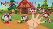 Niloya Türkçe Parmak Ailesi - Finger Family Türkçe - Nursery Rhymes
