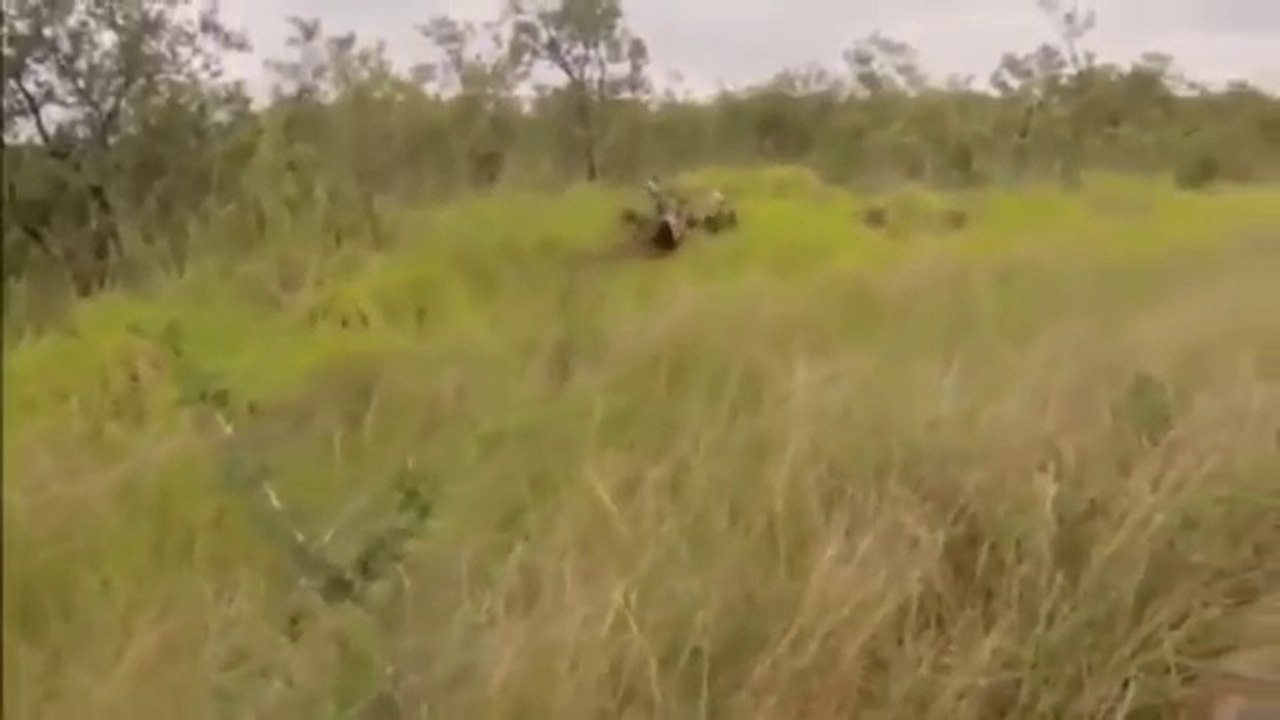 Animals fighting fail compilation 2016 funny videos