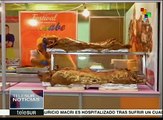 Ecuador: realizan Festival Gastronómico con platillos tradicionales