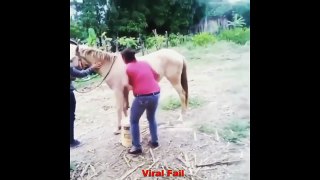 Funny Epic Win Fail Compilation June 2016 [Just for Laugh]