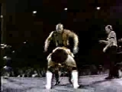 Dusty Rhodes and Nikita Koloff vs. Ric Flair and Lex Luger