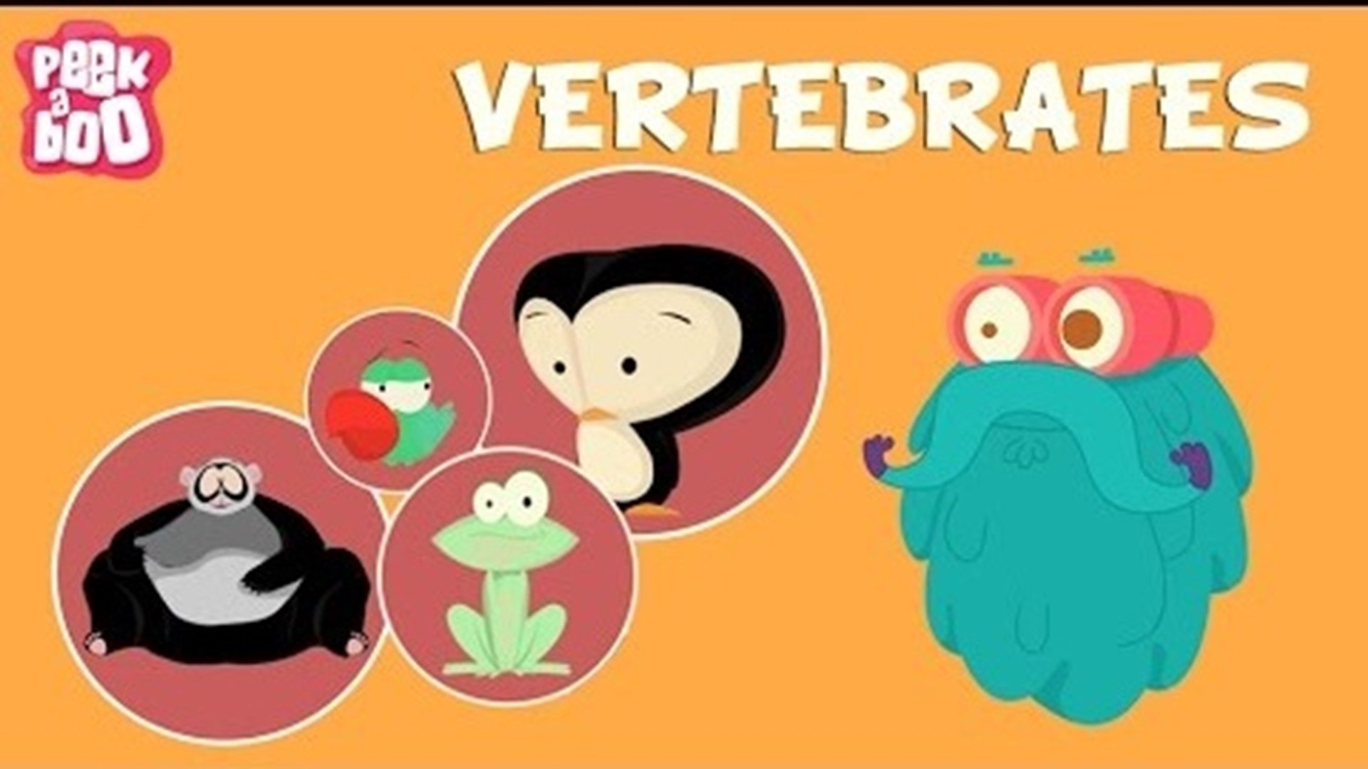 Vertebrates | The Dr. Binocs Show | Learn Series For Kids