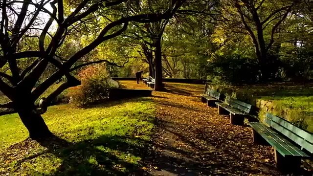 Johann Strauss II The Blue Danube Classical Music Best Songs