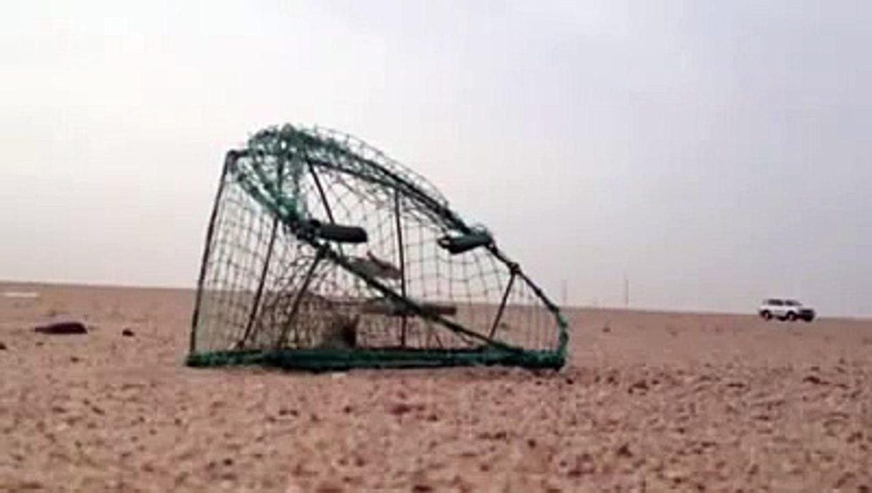 How to Catch an Eagle