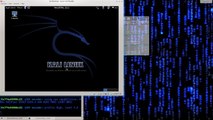 011 Kali Linux installation after it is running and getting starting using it.