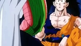 Goku ft Piccolo - Senzu Beans
