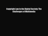 Read Copyright Law in the Digital Society: The Challenges of Multimedia Ebook Online